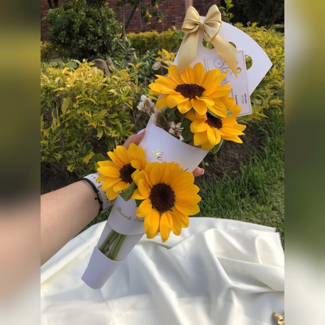 Box de Girasoles