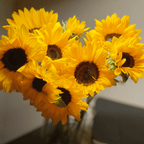 Bouquet Box Girasoles - BOCADOS SORPRESA