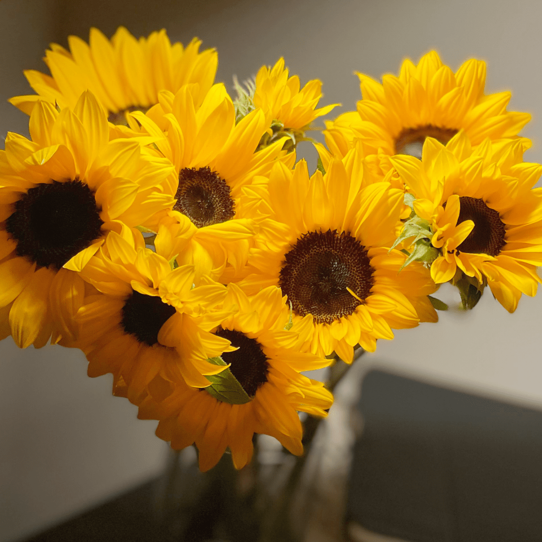 Bouquet Box Girasoles - BOCADOS SORPRESA