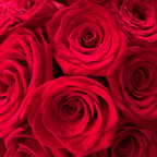 Bouquet Box Rose - BOCADOS SORPRESA