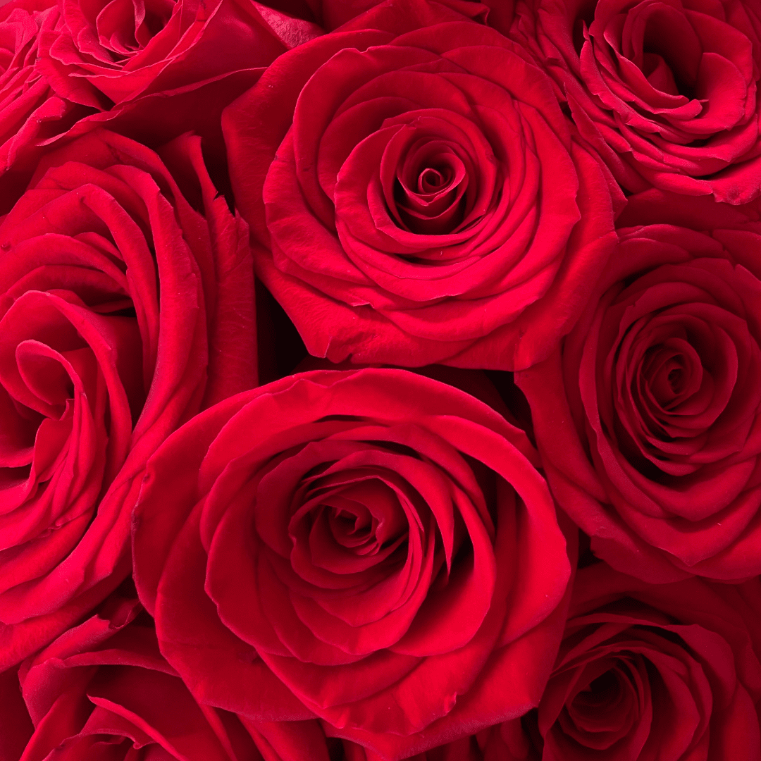 Bouquet Box Rose - BOCADOS SORPRESA